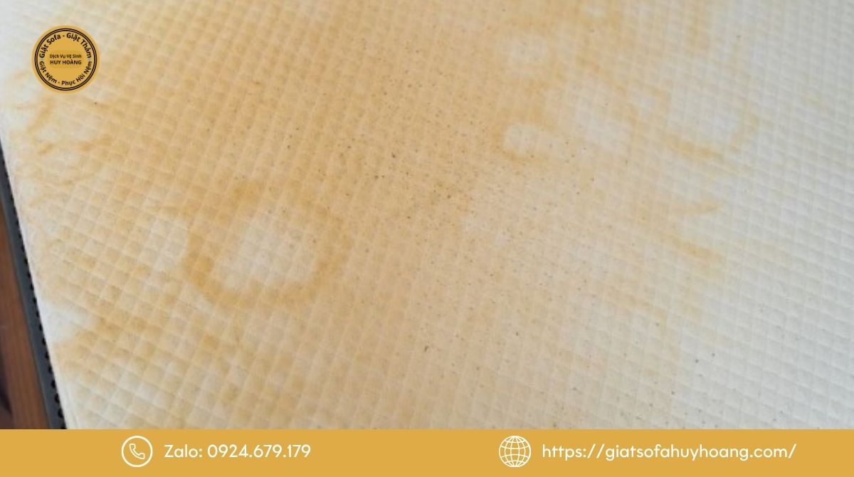 Nguyên nhân khiến đệm bông ép dễ bị mốc và bám bẩn