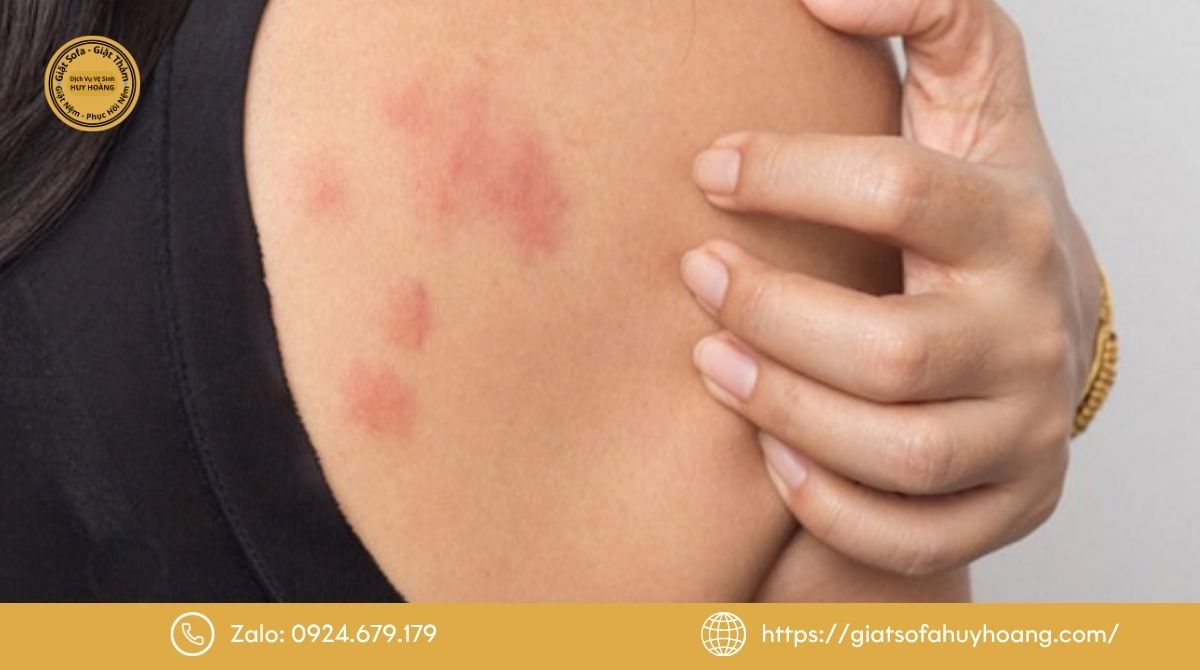 Tại sao nên vệ sinh giường ngủ định kỳ 3-6 tháng/lần