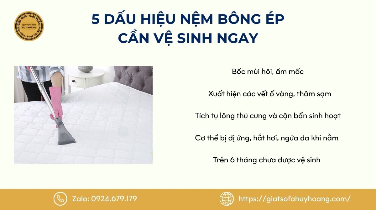 Dấu hiệu nệm bông ép nhà bạn cần vệ sinh ngay