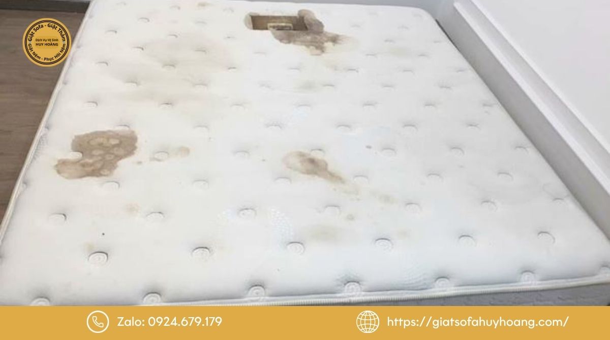Tại sao cần giặt nệm lò xo định kỳ?