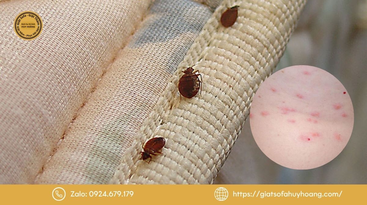 Tác hại khi sử dụng nệm bẩn