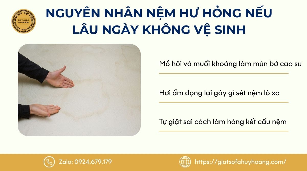Hậu quả của việc không vệ sinh nệm định kỳ