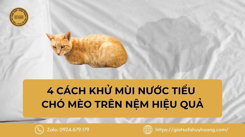 4 Cách khử mùi nước tiểu chó mèo trên nệm hiệu quả